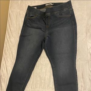 Torrid Stretch Jeans